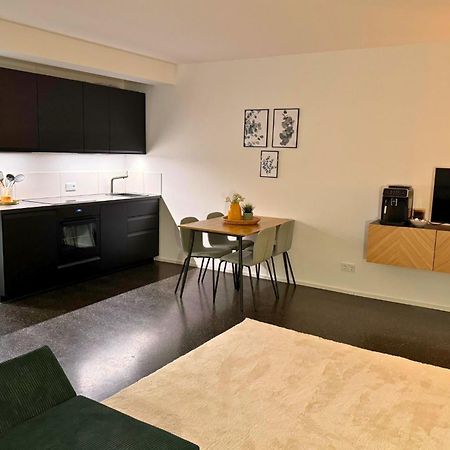 Isaak Apartment Stadtperle Waldshut-Tiengen Kültér fotó