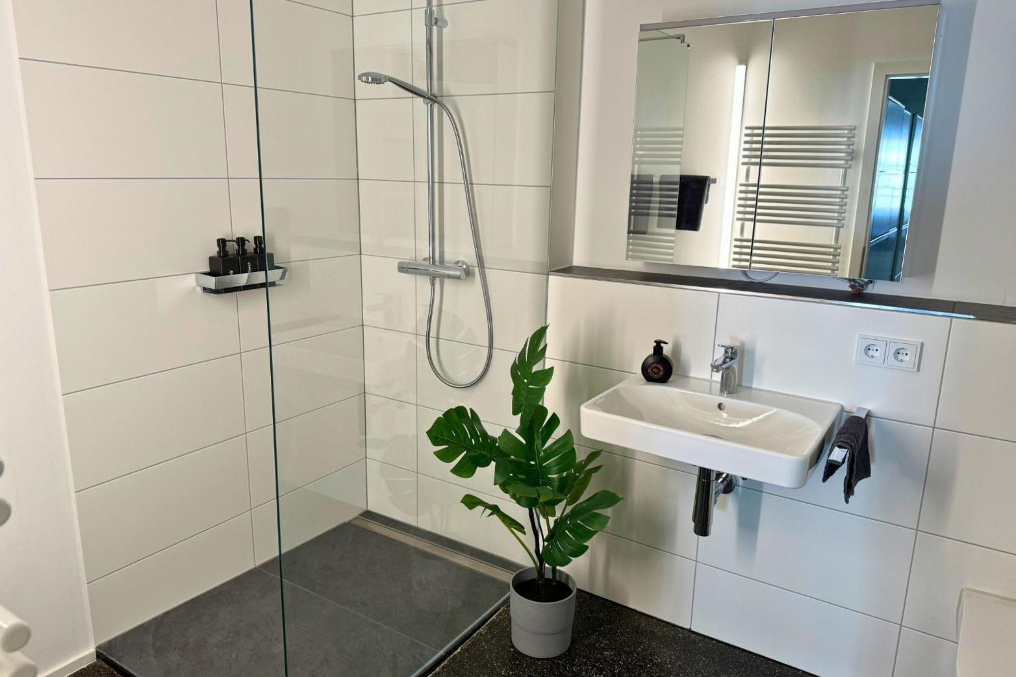 Isaak Apartment Stadtperle Waldshut-Tiengen Kültér fotó