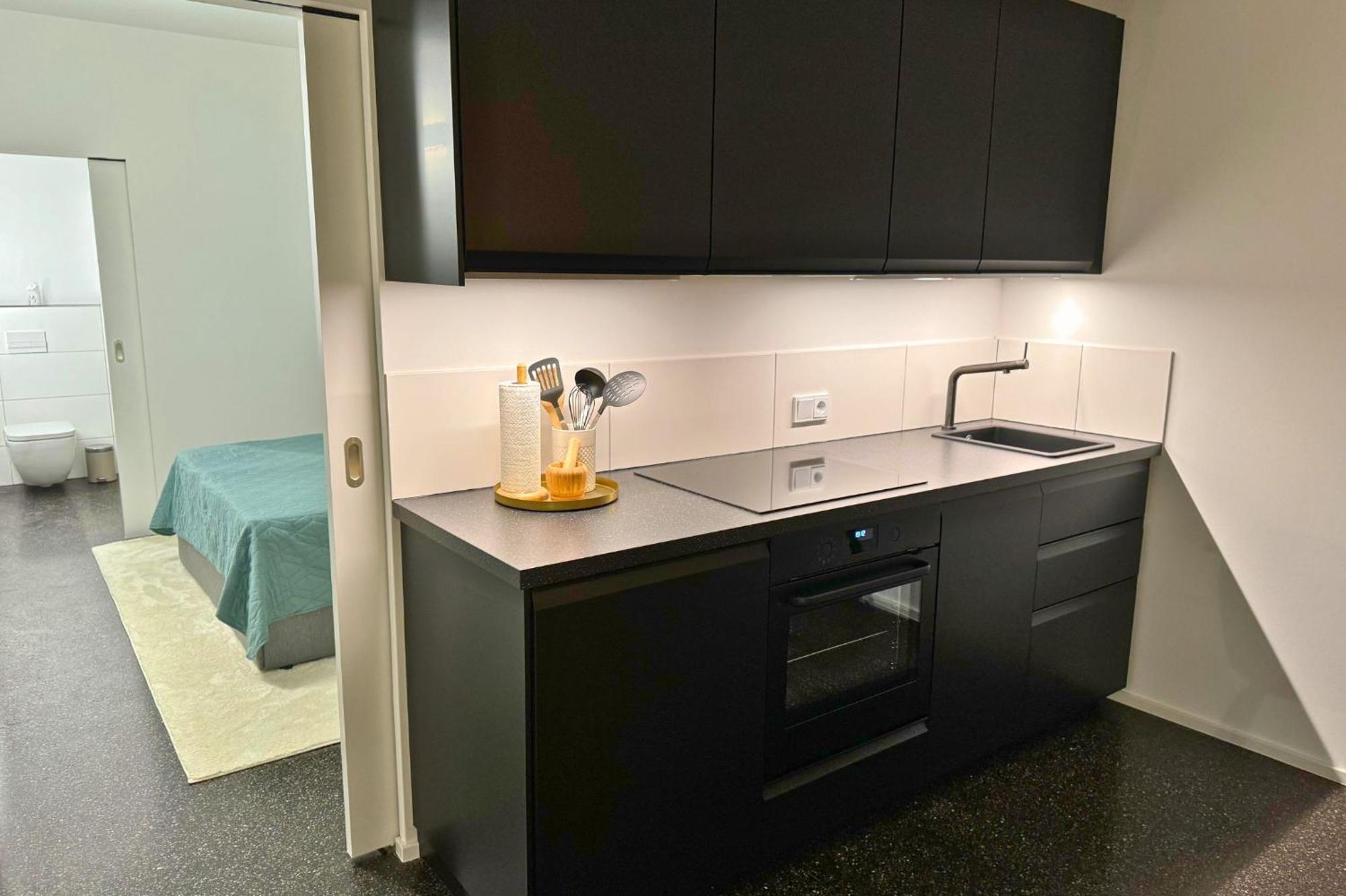 Isaak Apartment Stadtperle Waldshut-Tiengen Kültér fotó
