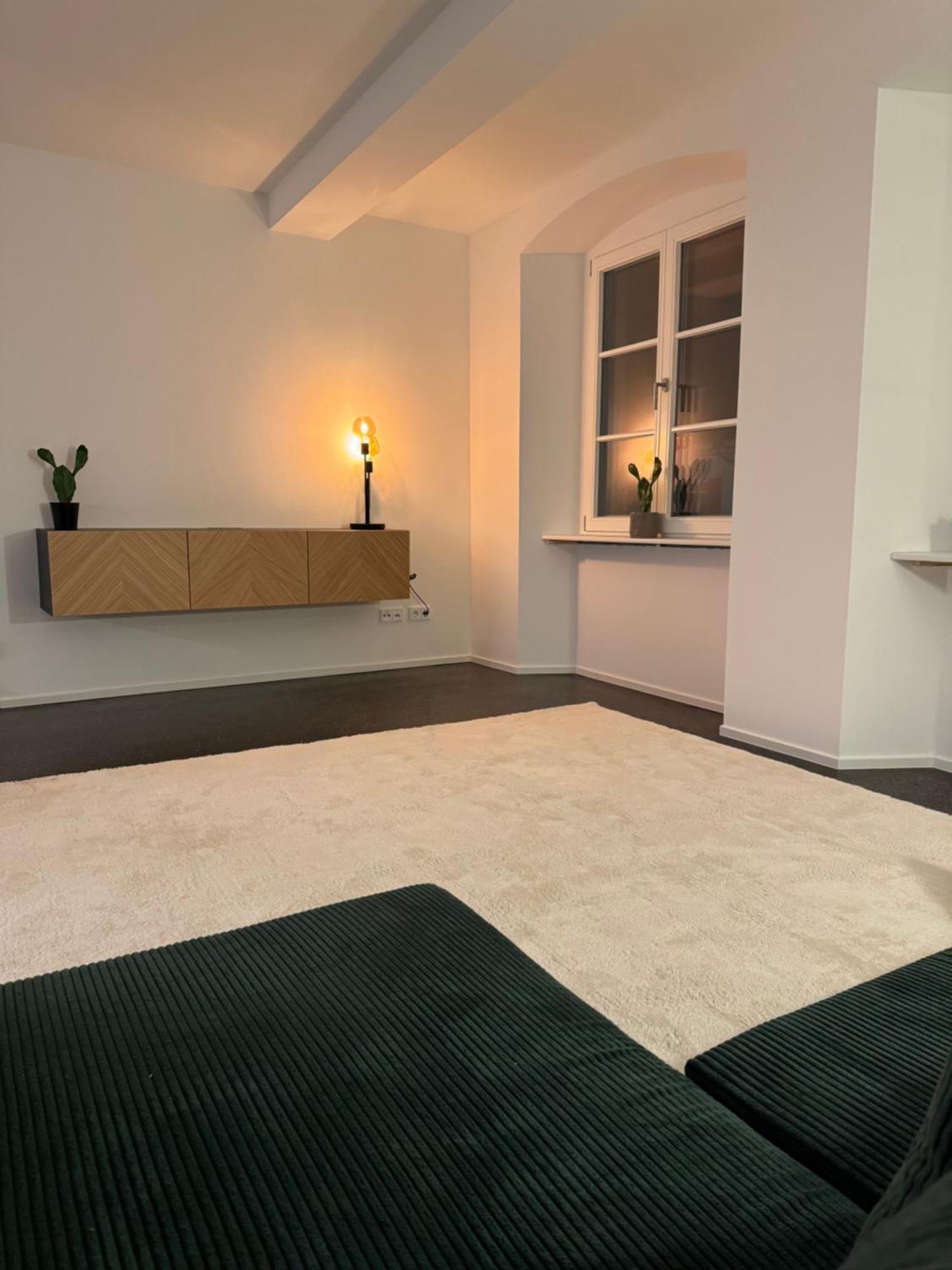 Isaak Apartment Stadtperle Waldshut-Tiengen Kültér fotó