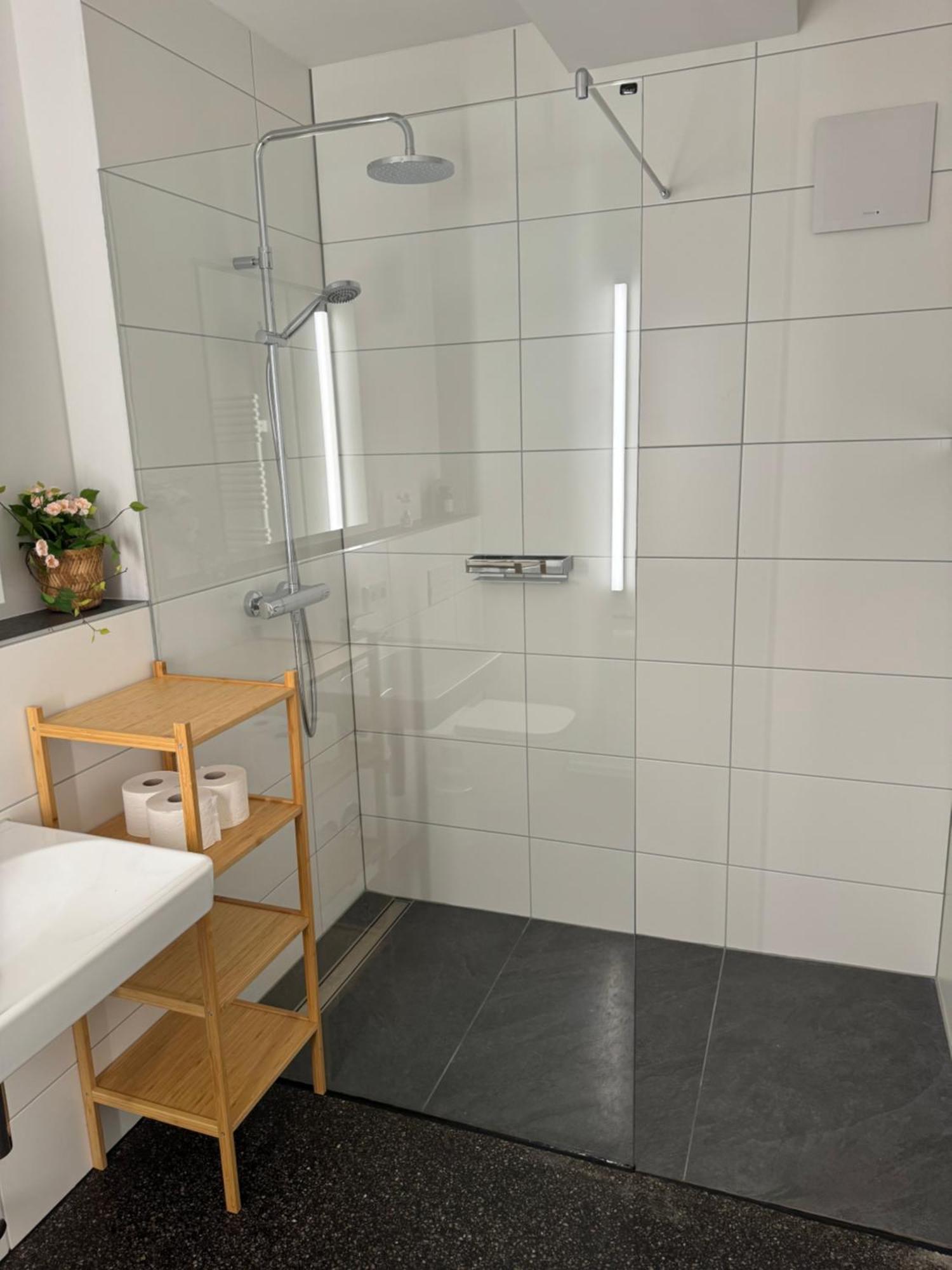 Isaak Apartment Stadtperle Waldshut-Tiengen Kültér fotó