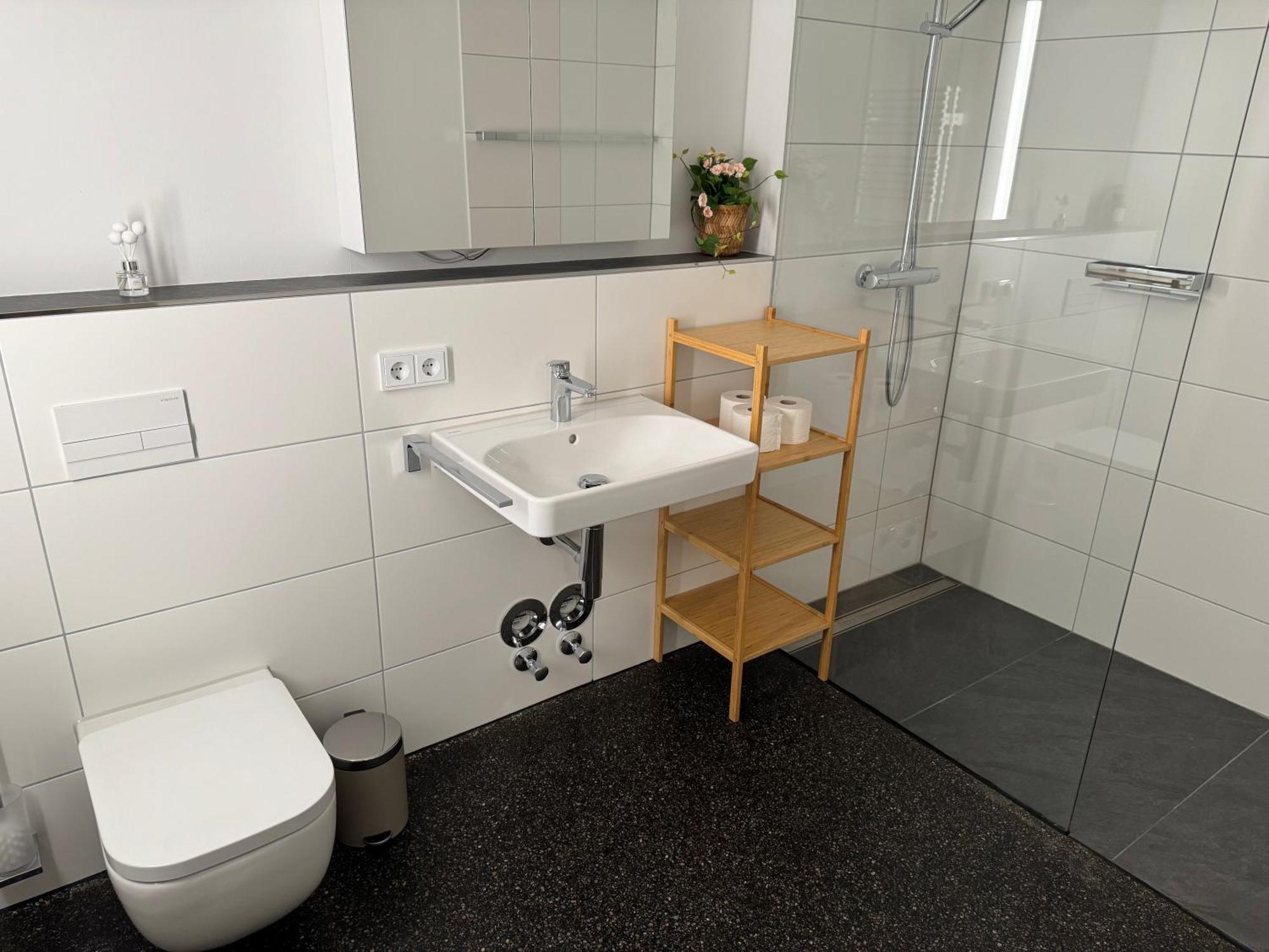 Isaak Apartment Stadtperle Waldshut-Tiengen Kültér fotó